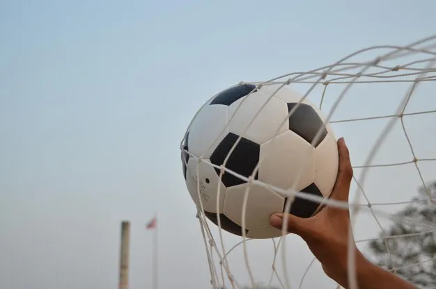 法甲直播体育 足球赛事背景